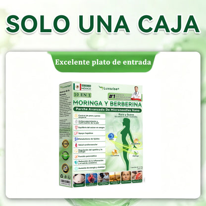 𝑻𝒊𝒆𝒏𝒅𝒂 𝑶𝒇𝒊𝒄𝒊𝒂𝒍 |  𝑳𝒖𝒙𝒂𝒓𝒊𝒔𝒆® 10 𝑬𝑵 1 𝑴𝒐𝒓𝒊𝒏𝒈𝒂 𝒀 𝑩𝒆𝒓𝒃𝒆𝒓𝒊𝒏𝒂 𝑷𝒂𝒓𝒄𝒉𝒆 𝑨𝒗𝒂𝒏𝒛𝒂𝒅𝒐 𝑫𝒆 𝑴𝒊𝒄𝒓𝒐𝒏𝒆𝒆𝒅𝒍𝒆𝒔 𝑵𝒂𝒏𝒐（𝑼𝒏𝒂 𝒗𝒆𝒛 𝒂𝒍 𝒅í𝒂, 𝒄𝒂𝒎𝒃𝒊𝒐𝒔 𝒗𝒊𝒔𝒊𝒃𝒍𝒆𝒔 𝒆𝒏 7 𝒅í𝒂𝒔（UPSELL）